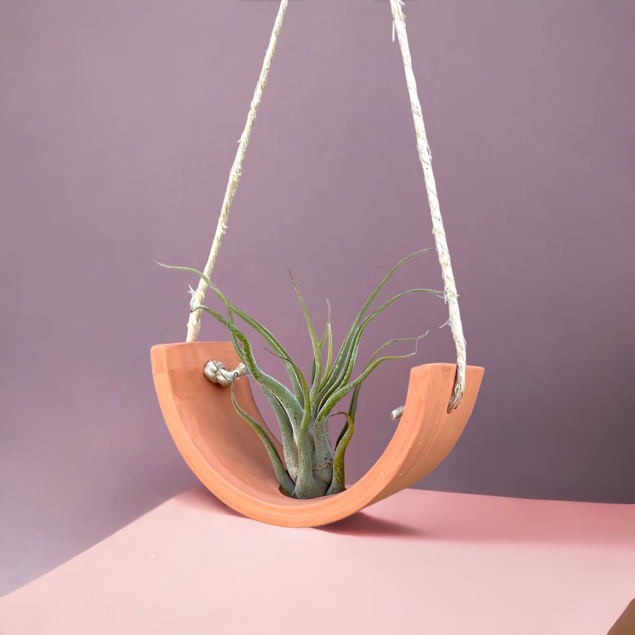 Kleine terrakottafarbene Blumenampel für Tillandsia-Luftpflanzen