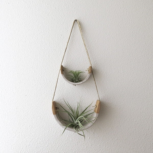 Air Plant Holder Etsy