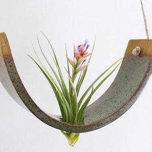 Large Gunmetal Green Ceramic Hanging Air Plant Holder Interior Home Decoration Wall Planter Vase image 6