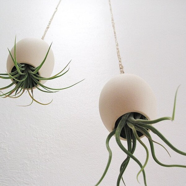 Hanging Air Plant Pod - natural buff colored stoneware