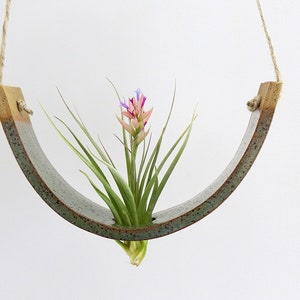 Large Gunmetal Green Ceramic Hanging Air Plant Holder Interior Home Decoration Wall Planter Vase image 4