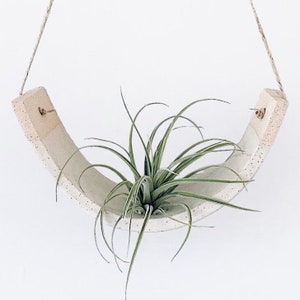 May include: White ceramic hanging planter with a speckled finish, shaped like a crescent moon, with a green air plant inside.
