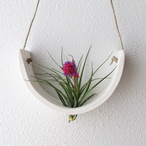 Large White Earthenware Hanging Tillandsia Air Plant Holder Interior Home Decoration Planter image 1