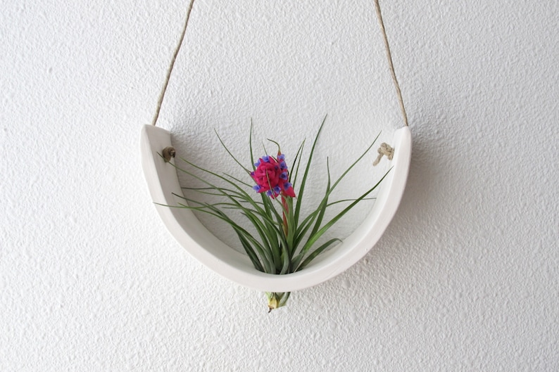 Large White Earthenware Hanging Tillandsia Air Plant Holder Interior Home Decoration Planter image 1