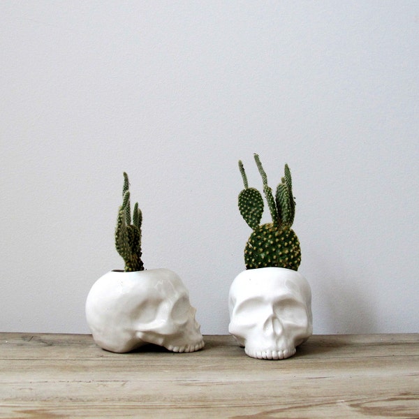 Ceramic Skull Planter - perfect for cactus succulent or air plant