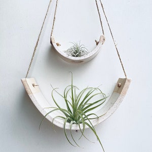 May include: Two white ceramic hanging planters with rope, one with a small air plant and the other with a larger air plant.