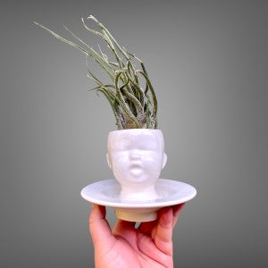 Modern Ceramic Baby Head Planter