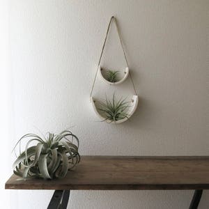 May include: Two white ceramic hanging planters with air plants. The planters are shaped like half circles and are suspended from the ceiling with twine. The planters are against a white wall.
