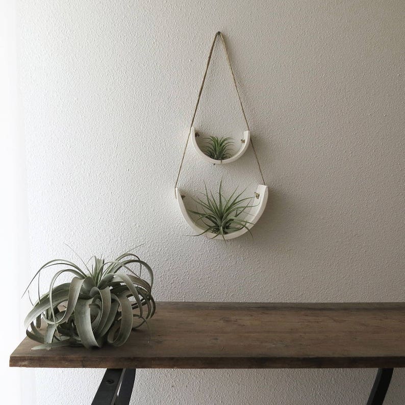 May include: Two white ceramic hanging planters with air plants. The planters are shaped like half circles and are suspended from the ceiling with twine. The planters are against a white wall.