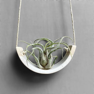 Lovely Small Hanging Air Plant Holder Speckle Buff Stoneware Clay Dipped in Gloss White Planter