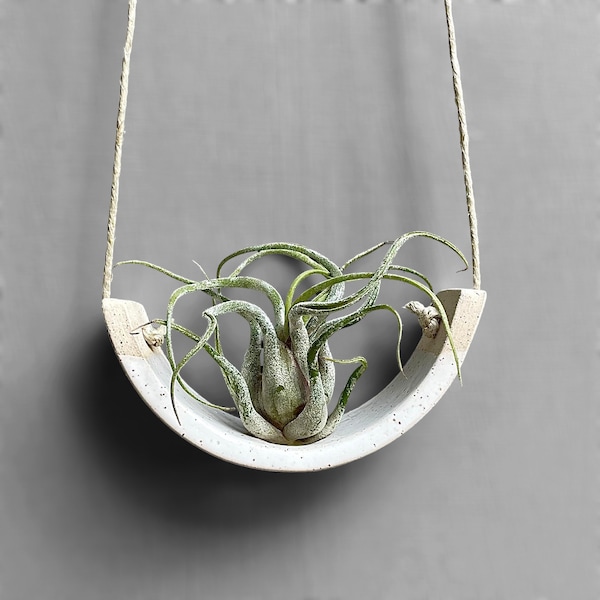 Lovely Small Hanging Air Plant Holder Speckle Buff Stoneware Clay Dipped in Gloss White Planter