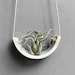 see more listings in the Air Plant Cradles section