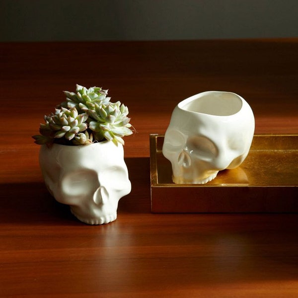 Ceramic Skull Planter Halloween Home Decor