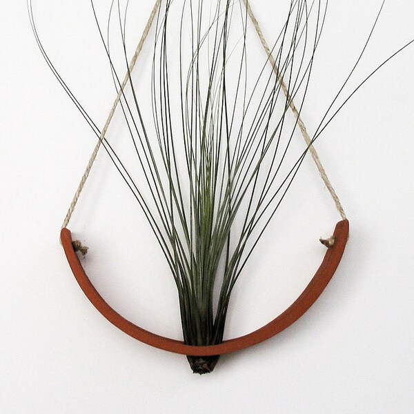 Beautiful Large Terracotta Hanging Air Plant Cradle Wall Planter