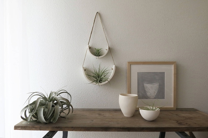 May include: Two white ceramic hanging planters with air plants, a white ceramic vase, and a framed picture on a wooden table.