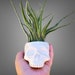 Ceramic Skull Planter Halloween Home Decor 