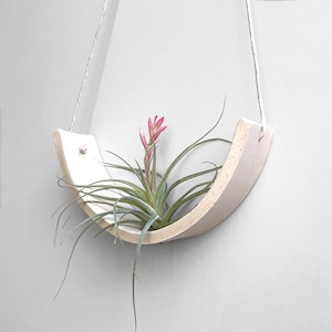 Large Ceramic Hanging Air Plant Planter Vase unglazed Speckle Buff Clay - limited edition