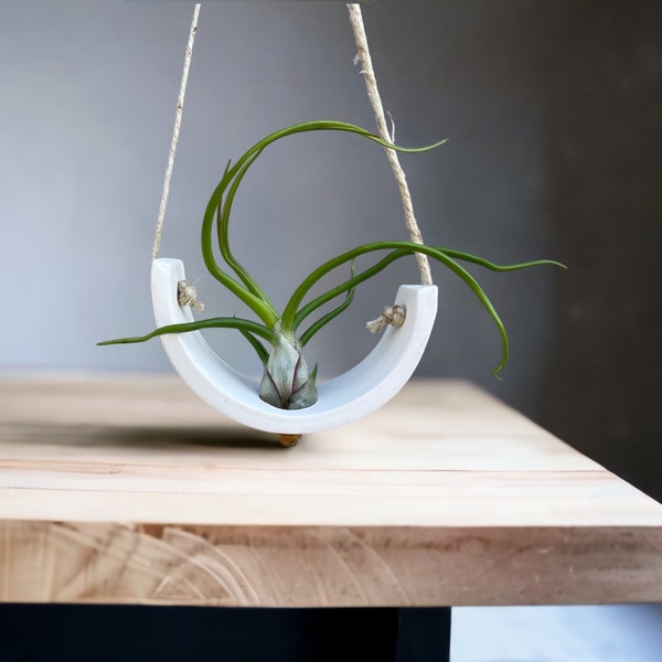 White Air Plant Container Ceramic Plant Hanger - Small