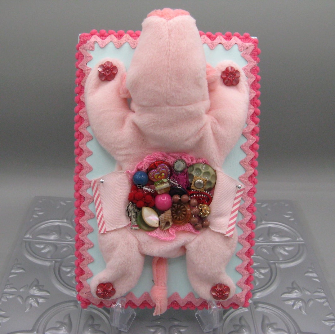 Plushie Taxidermy Pig and Trinket Dissection Squealer Plush Plaque ...