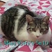 Owner of <a href='https://www.etsy.com/shop/misskittys5n10?ref=l2-about-shopname&from_page=listing' class='wt-text-link'>misskittys5n10</a>