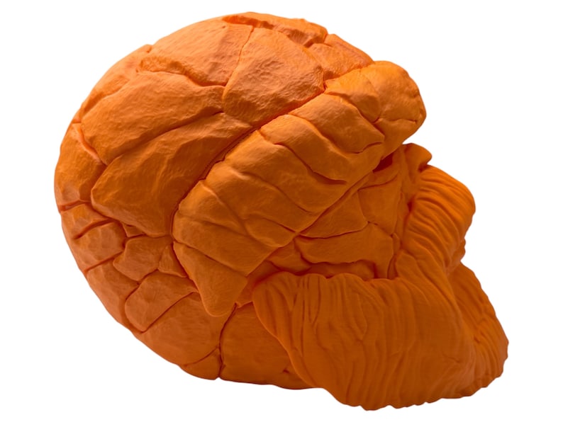 May include: An abstract sculpture in a vibrant orange hue. The form is composed of interconnected, rounded shapes with textured surfaces, creating a unique and eye-catching design. The sculpture is set against a clean white background.