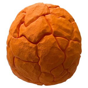 May include: An orange, spherical object with a textured, segmented surface. The segments are irregular and give the object a rough, organic appearance. The object is set against a plain white background.