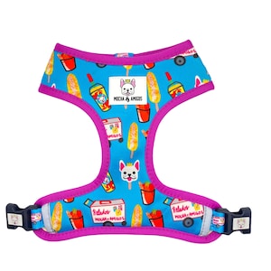 Paw-Letero Harness