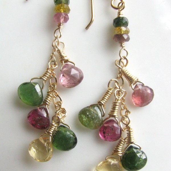Earrings. Tourmaline Multi colored,faceted, briolette dangle.  FREE Shipping in USA