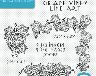 Grapevines Line Art, JPG Files, Grapevines PNG Line Art, Digital Downloads, Digital Scrapbooking Elements, Coloring Pages, Grapevines Art