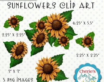 Sunflowers Clip Art, Flowers Clip Art, Digital Download PNG Files, Floral Graphics, Digital Scrapbooking Elements, Cliparts, Sunflower Art