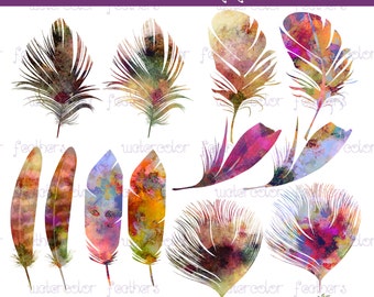 Watercolor Feathers Clip Art, Feathers Clip Art, Digital Scrapbooking Elements, Digital Downloads, Digital PNG Clip Art, Feather Graphics