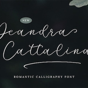 Font Deandra Cattalina, Font Script, Font scritto a mano, Font moderno personale, Font calligrafico Serif, Font Brush, Font Procreate, Font con logo
