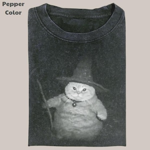 Wizard Cat Vintage Hoodie, Cat T-shirt, Meme Cringe Funny Dumb Sweatshirt, Unisex Movie, Gift for Fan,Gift For Women and Man Unisex Shirt