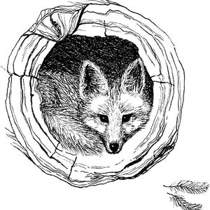 Fox Illustration Note Card image 4