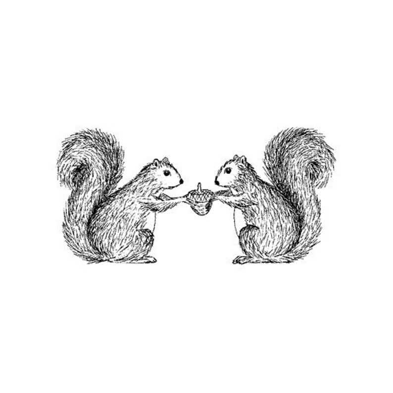 Two Squirrels and an Acorn Illustration Note Card image 3