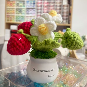 Crochet Flowers,Strawberry, Mother's Day Gift, home decor, Finished Product, DIY Flower Pots, Flower Decoration, Crochet Plant image 4