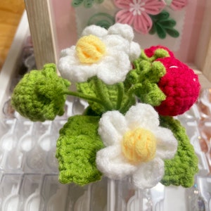 Crochet Flowers,Strawberry, Mother's Day Gift, home decor, Finished Product, DIY Flower Pots, Flower Decoration, Crochet Plant image 5