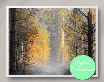 Misty Forest Art, Nature Photography Wall Art, Digital Wall Art, Forest Wall Art for Aesthetic Room Decor, Downloadable Art