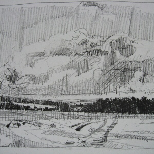 Ursprüngliche Landschaft Bleistift Zeichnung, 7,5 x 11,5 Zoll, wilde Truthähne