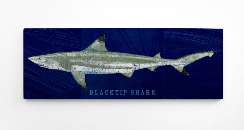 Fishing Gifts for Husband Fish Wall Art Shark Wall Decor Blacktip Shark Art Block Coastal Decor