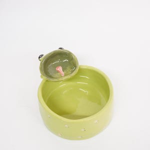 May include: A lime green ceramic pet bowl with a frog-shaped design. The frog's head, with black eyes and a pink tongue, is attached to the bowl. Small pink floral patterns decorate the bowl's exterior. A charming and practical item for pets.