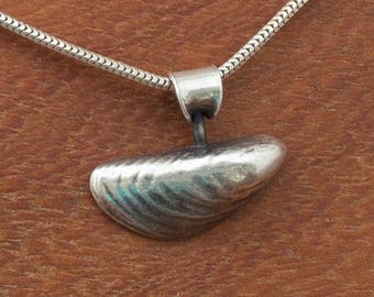 Mussel shell necklace - a single silver shell with decorative bail on silver snake chain