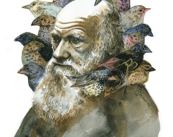 Charles Darwin with Finches portrait print in multiple sizes