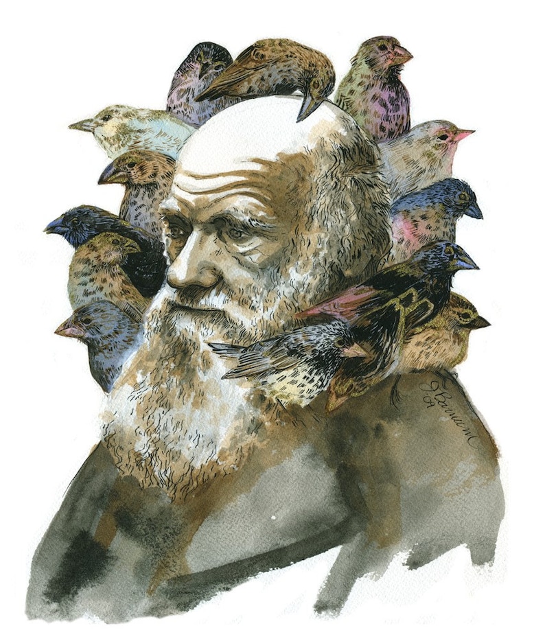 Charles Darwin with Finches portrait print in multiple sizes image 1