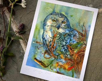 Snowy Owl Study - Animal Watercolor Art Print