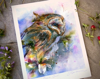 Barn Owl Study - Animal Watercolor Art Print