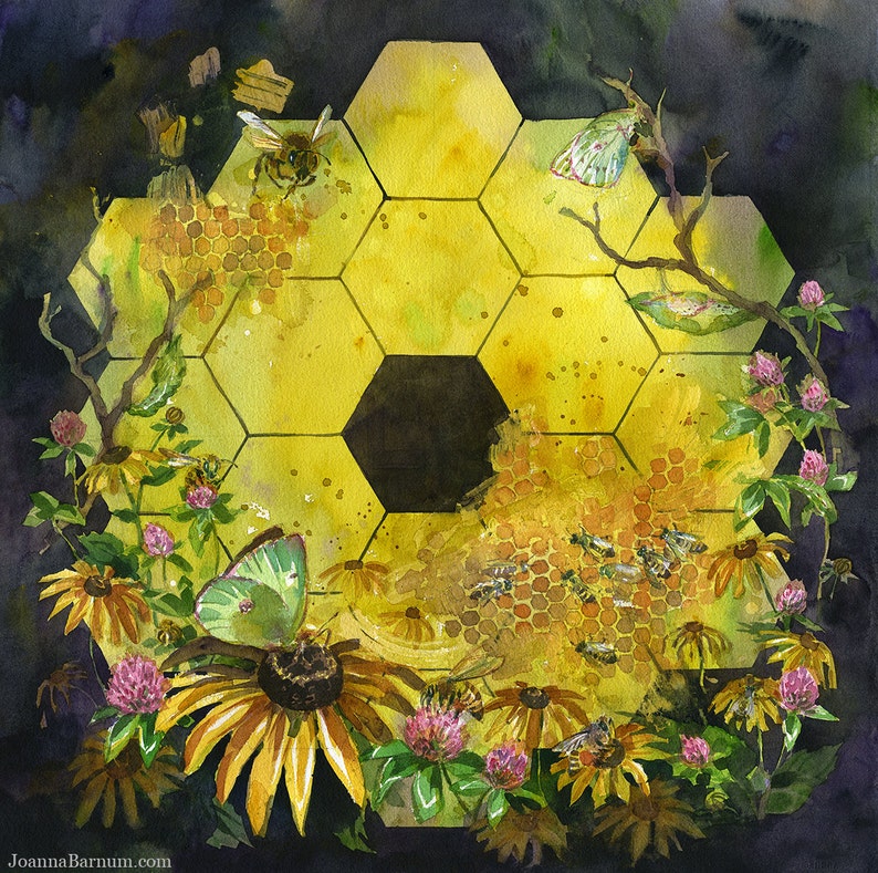 NASA James Webb Space Telescope Icon: Metaphor watercolor art print in multiple sizes. JWST with butterflies, bees, black eyed susans image 1