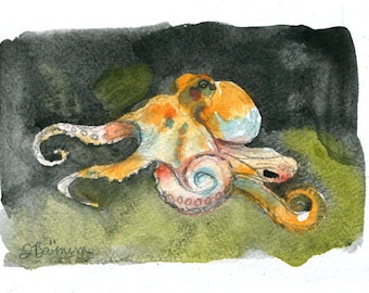 Common Octopus, Cephalopod series- illustration print in multiple sizes