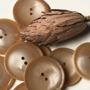 Camel Colored Vintage Buttons, Set of 6 Large Buttons 1 3/8" in Diameter, Coat, Cloak, Cape, Sweater or Jacket Buttons, Sustainable Supply