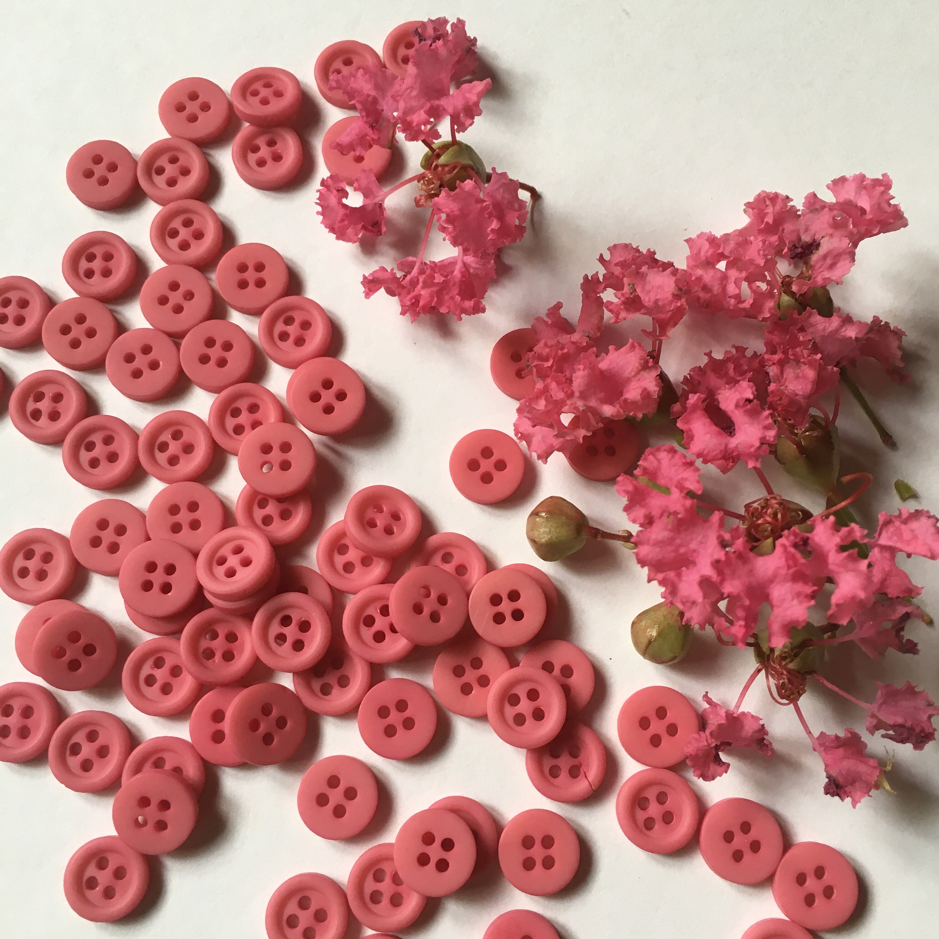 Pretty Dress Button 716 in Diameter Set of 50 Bright Pink Crape Mrytle Vintage Buttons